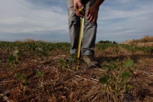 Gestion del Conocimiento en agricultura, ganaderia y pesca