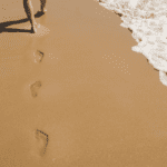 How to retain the knowledge of people who leave by Pablo Bely